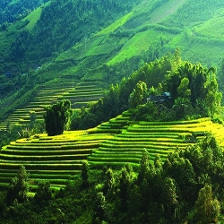 Chợ Tình Mộc Châu – Lễ Hội Truyền Thống Níu Kéo Khách Du Lịch Mộc Châu