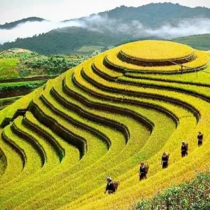 Sapa - Lào Cai 4 ngày 4 đêm
